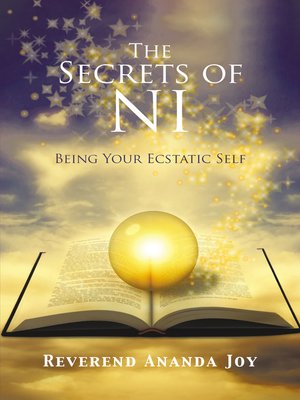 cover image of The Secrets of NI